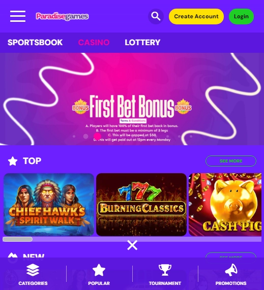 ParadiseGames Casino